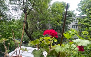 Oportunitate***Apartament 4 camere//Bloc tip boutique***Apusului - Poză 31