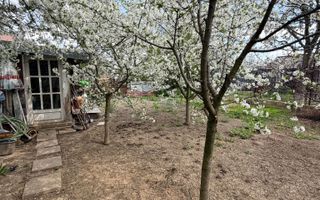 Casă 3 camere + pod mansardabil | teren 538 mp | Snagov | acces rapid DN1 - Poză 24