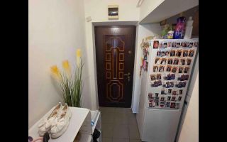 Apartament 3 camere, | 36,8 mpu | Petrișor | Etaj 3 | - Poză 8