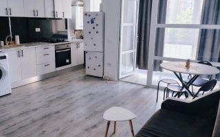 Apartament 2 camere de vanzare, Lunca Cetatuii, Cartier Vișoianu, etaj 1 - Poză 3