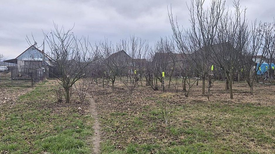 Casa cu teren 4000 mp in Bogei, Bihor - Poză 8