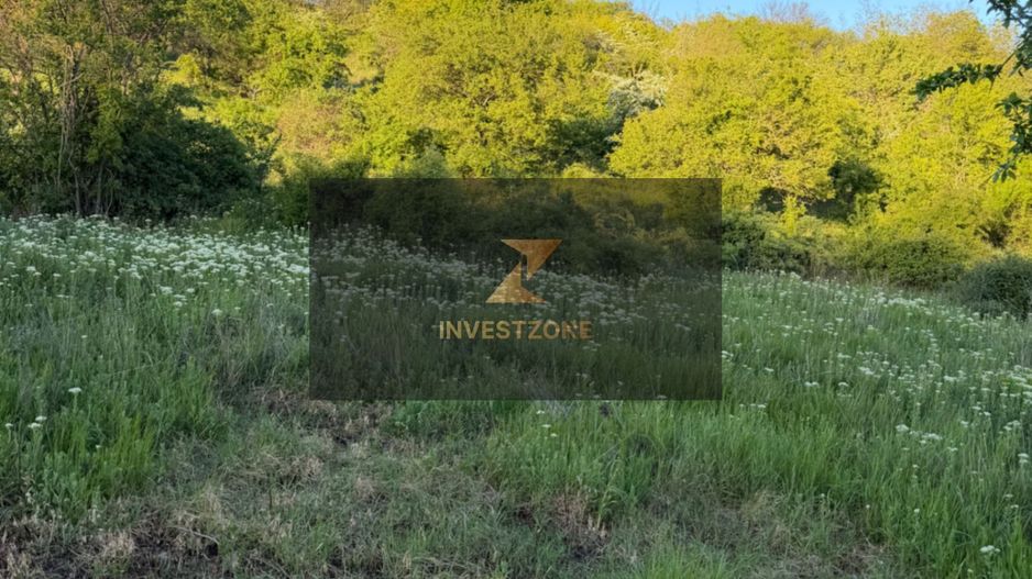 ⭐  Teren de 2.700 mp cu front generos – Ocazie în Oncea - Poză 20