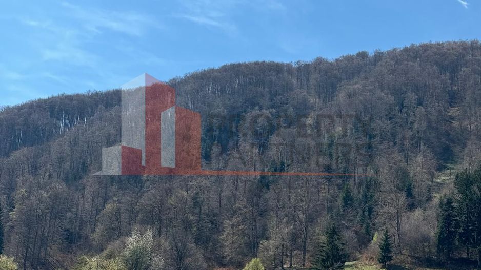 Terenuri Bran - Predelut  Priveliște către Bucegi și Postăvaru - Poză 14