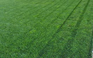 Locuinta individuala cu teren de 1000mp - Poză 6