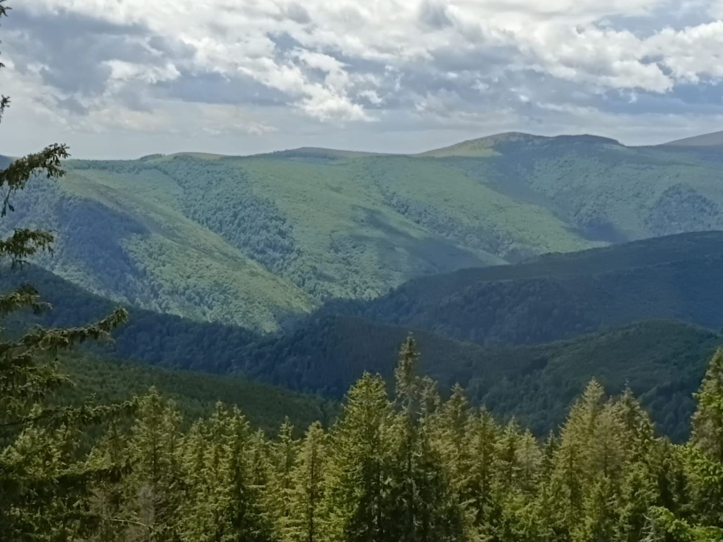 Cabană P+M de vânzare în Rânca - Poză 27