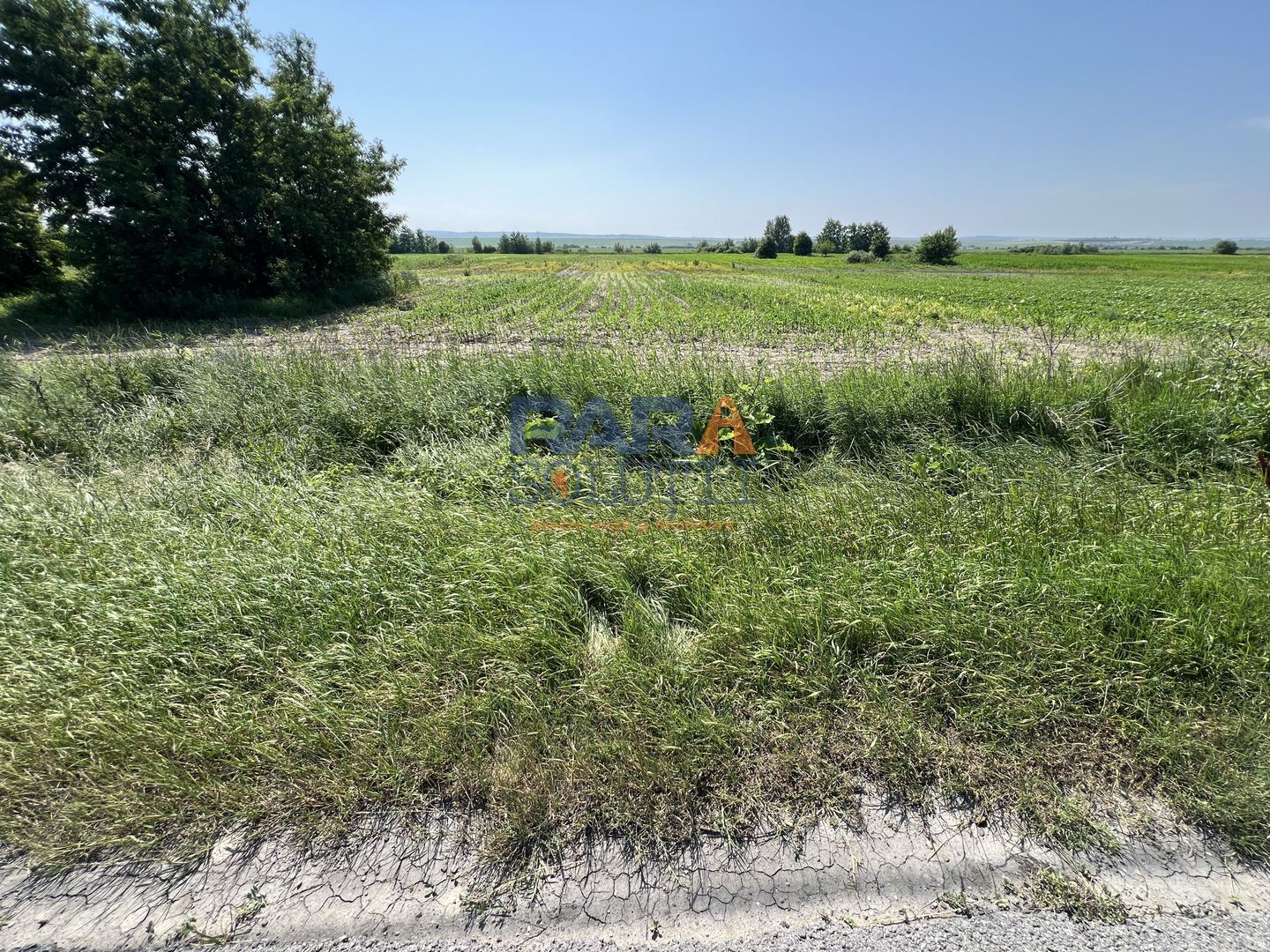 Teren 9969 mp, situat la E85, între două intrări pe autostrada A7 - Poză 5