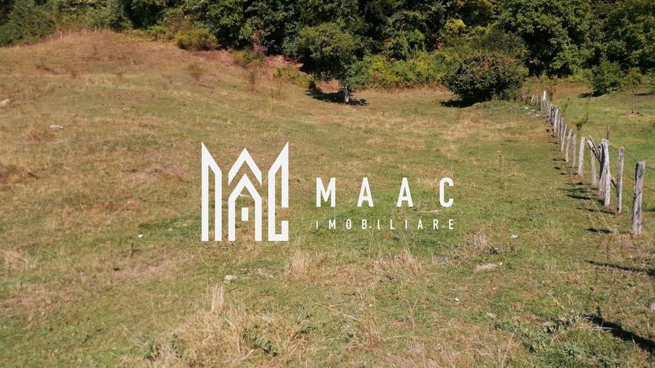 Teren Extravilan 20.000Mp I Stoenești -Vâlcea I Apă Curentă și Pădure - Poză 3