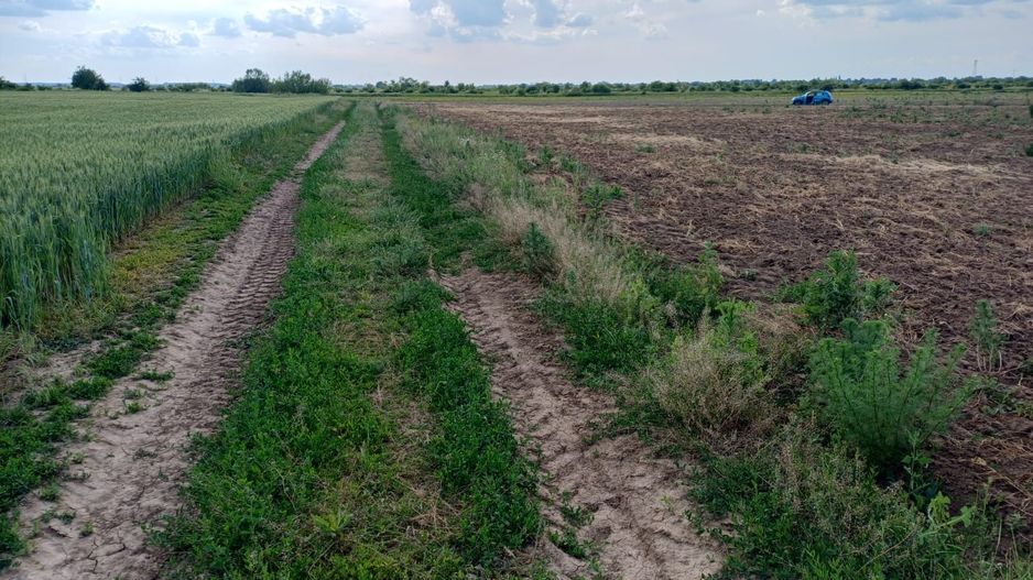 Teren intravilan de vanzare | Peris | 10.000 mp | Investitie sigura - Poză 7