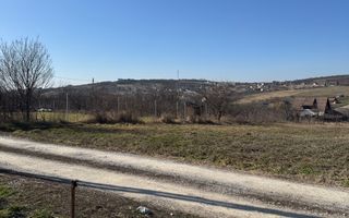 Teren intravilan Săldăbagiu De Munte - Poză 3