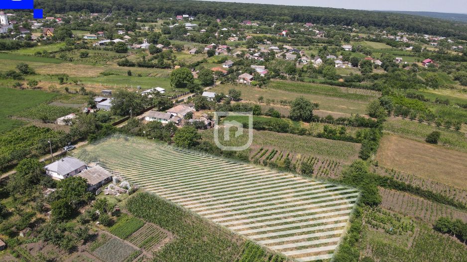 Teren - Ionășeni | BOTOȘANI | 3.285mp - Poză 3