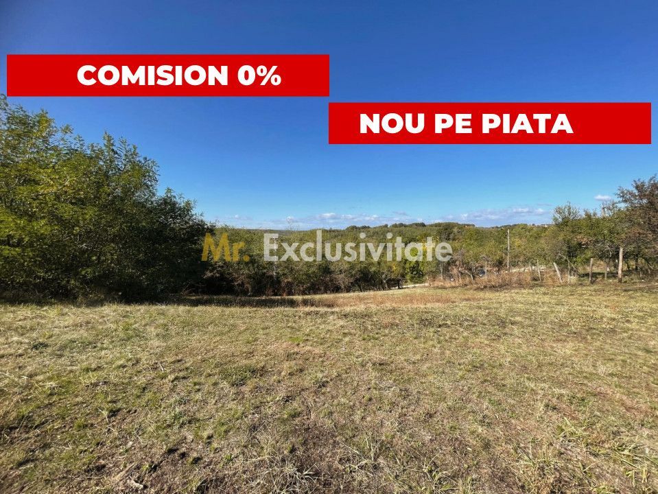 Teren Babana 5000mp intravilan - Poză 2