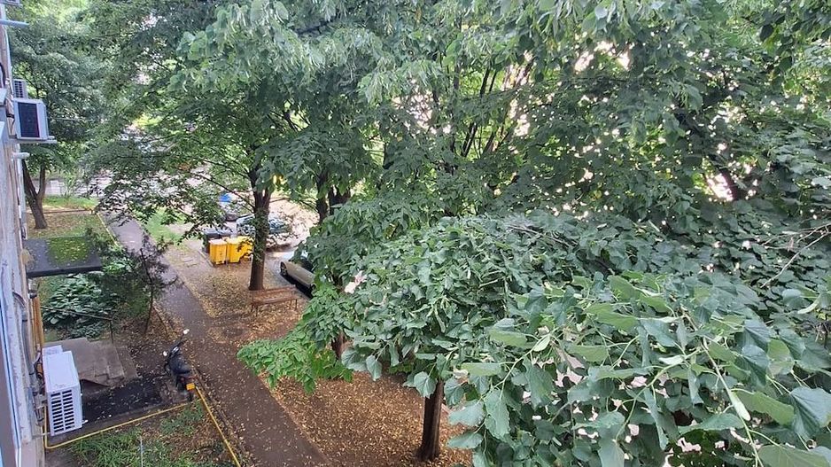 Apartament 3 camere, Zona Dacia   luminos, liniștit, cu vedere spre spațiu verde - Poză 10