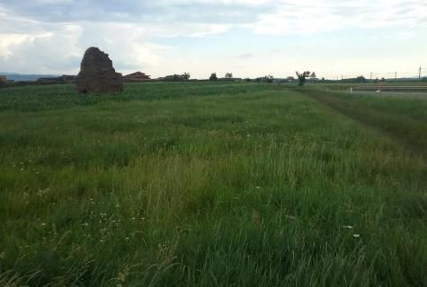 teren Vantu de Jos - Poză 2