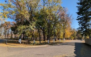 Teren ideal pentru dezvoltare imobiliara, Green City, 1 Decembrie - Poză 8