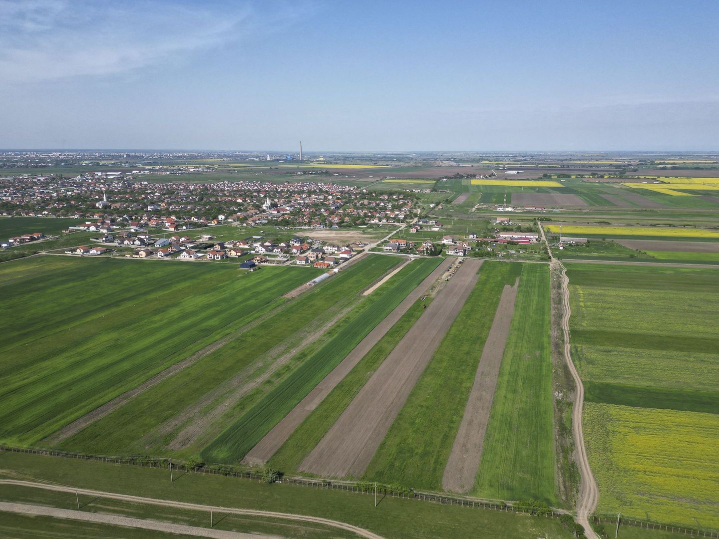 Loc de casa de 504 mp în Livada - Poză 6