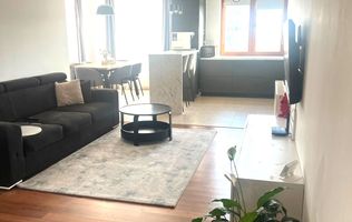 Apartament in Torontalului, Pet friendly