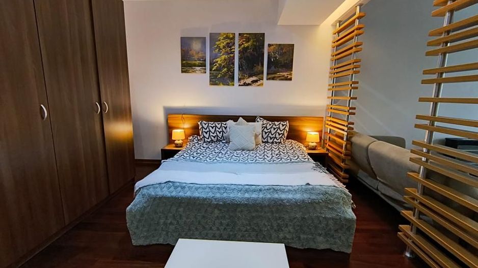 Garsoniera InCity Residence- Dristor- Vitan Mall - Poză 10