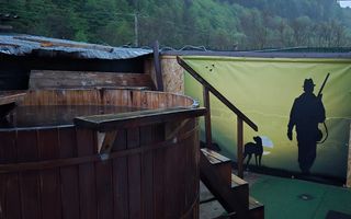 Casa de vacanta | Investitie | zona montana - padure | Arges | Leresti - Poză 7