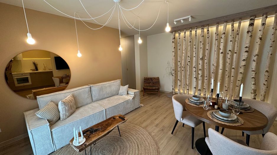 Apartament deosebit  2 camere zona Lipovei - Poză 2