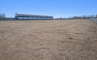 Teren 4.000 mp – Letea Veche - Poză 2