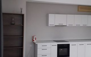De inchiriat 2 apartamente cu 2 camere, etaj 1/2, strada Domneasca, 500 E - Poză 10