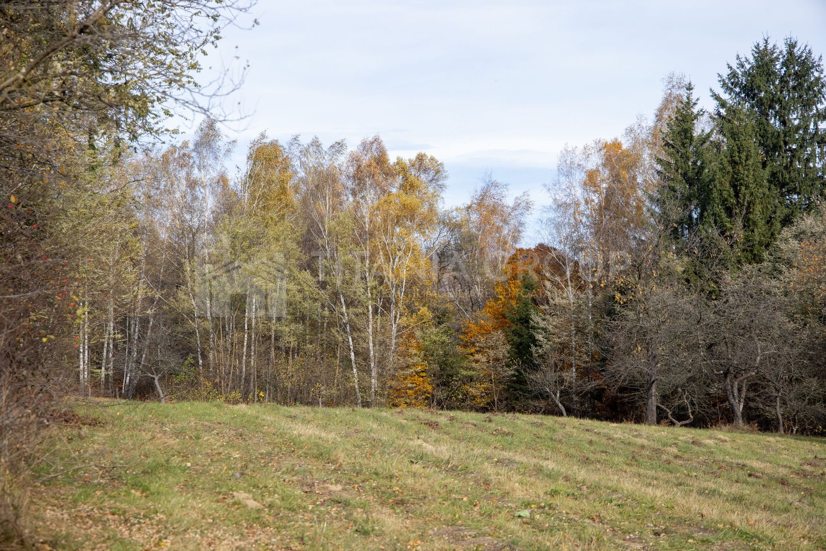 Teren intravilan, cu PUZ, Bran Tohanita,  SE ACCEPTĂ ȘI SCHIMB - Poză 6