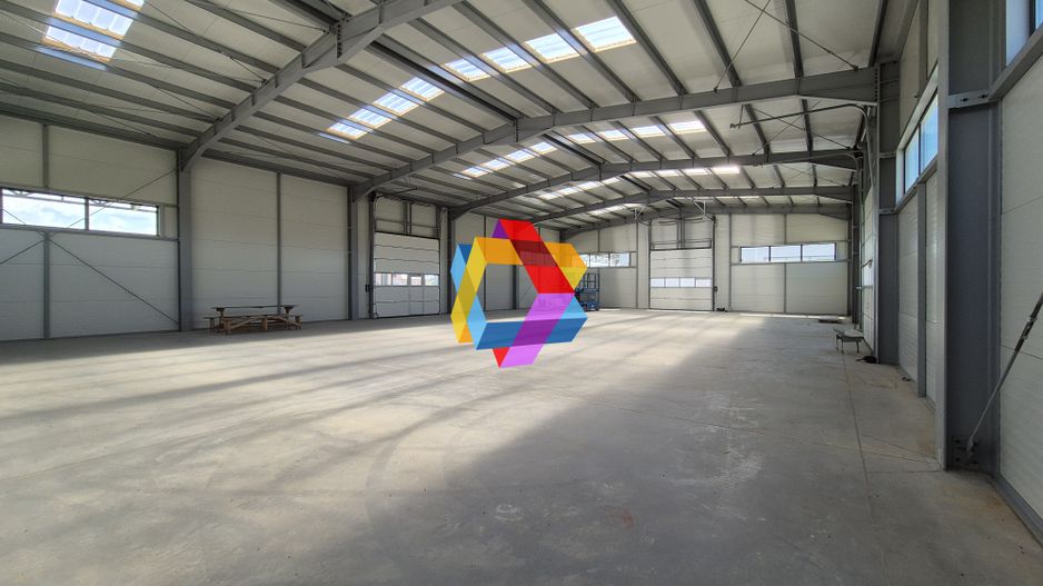 Hala - 1400 mp  # plus-imo.ro - Poză 22