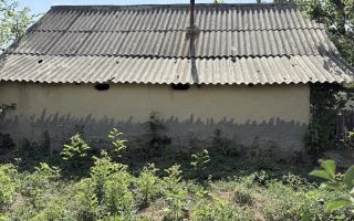 Casă + Teren 521 mp în Sat Bălteni, Comuna Probota, Județul Iași - Poză 4