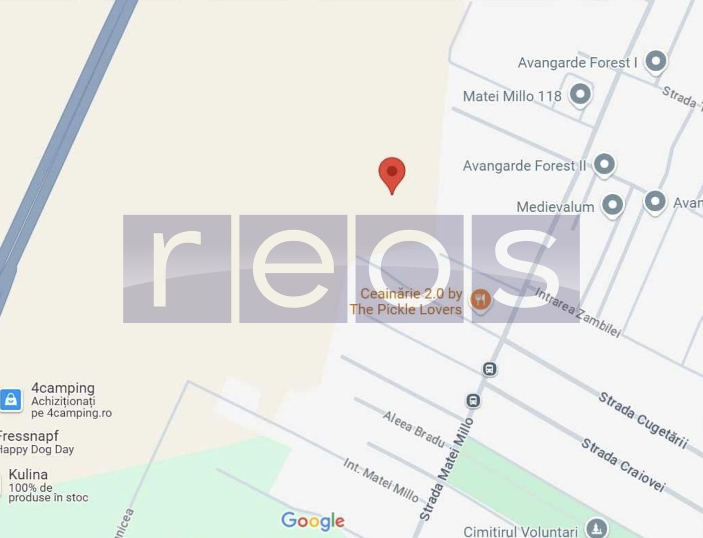 TEREN DE VANZARE| MATEI MILLO | 481 MP | FRONT 19 MP | OPORTUNITATE | - Poză 3