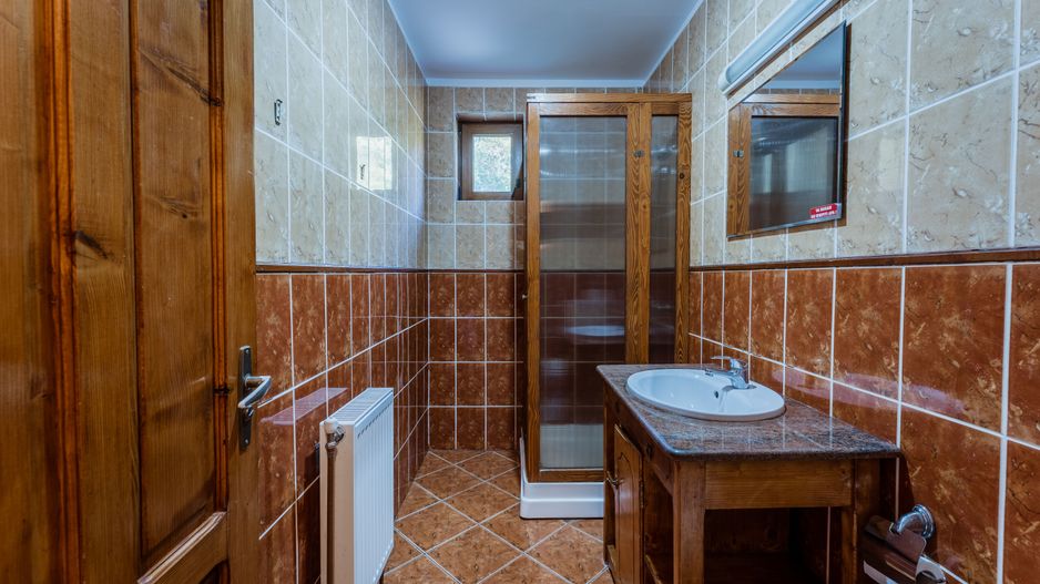 Domeniu în satul Căprioara - Poză 61