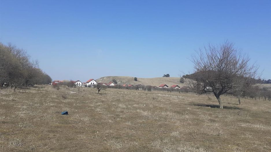 Teren constructii, segmentul investitional, Livada - Poză 3