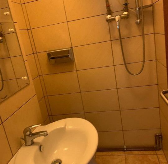 Inchiriere spatiu pentru Salon - Frizerie, Craiovei - Poză 5