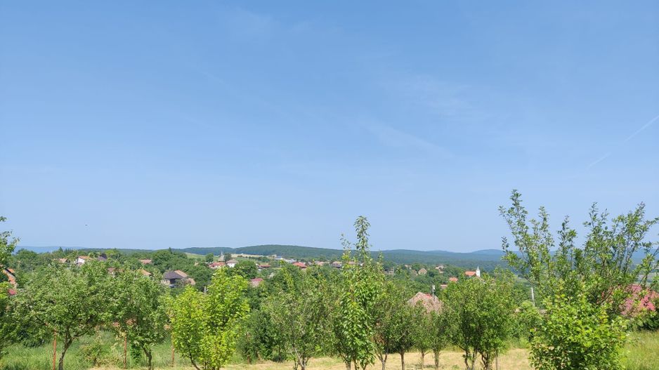 Casa individuala cu teren de 5000 mp, Deusu - Poză 8