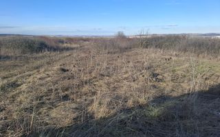 Teren Intravilan de Vânzare – 4300 mp – Cristian, zona Aeroport - Poză 10