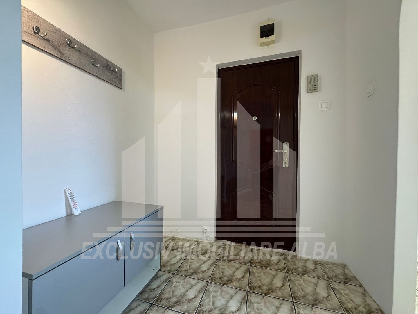 Apartament cu 2 camere de vanzare, Cetate - Poză 2