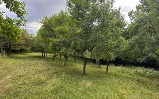 Teren extravilan 2000 mp | Rășinari | livadă, lângă Cisnădioara - Poză 4
