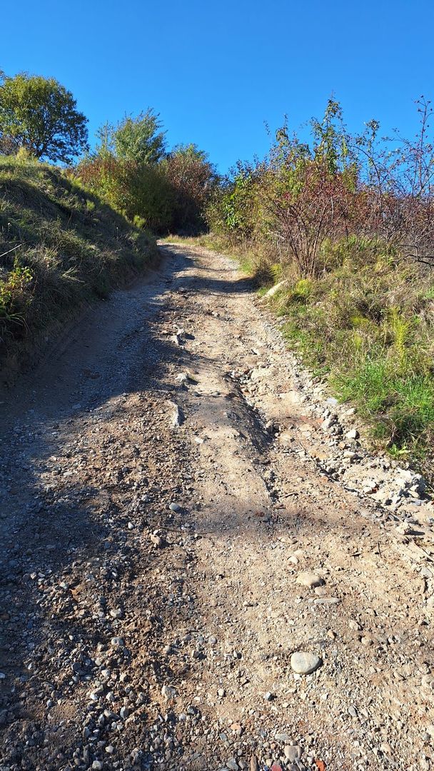 Teren Intravilan | Sat Gheorghieni, Cluj | 1440 mp | Investitie - Poză 10