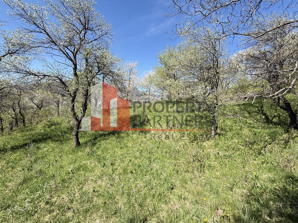 Teren 2500 mp Sohodol - Poză 10