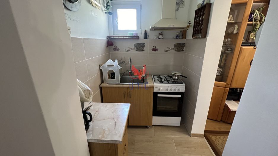 Casa P+M Alexandru cel Bun - Poză 5