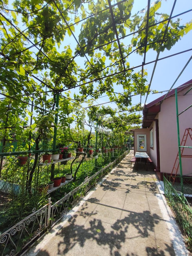 CASA  POIANA | PANOURI SOLARE | TEREN 800 MP - Poză 29