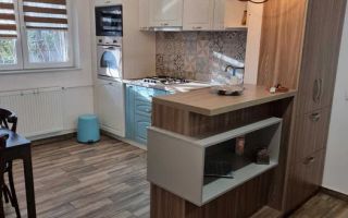 Apartament modern cochet, doua camere, Calea Mosilor - Poză 4