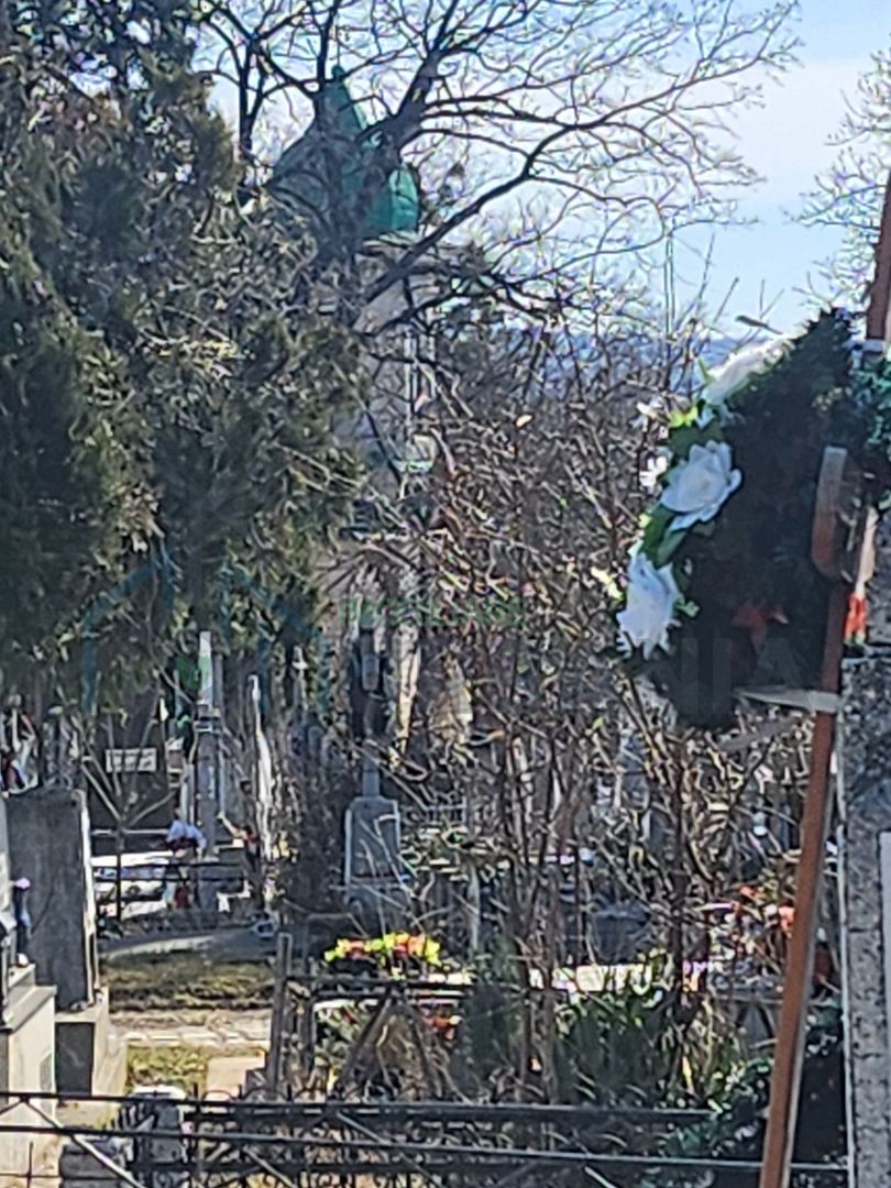 Cavou cu 2 locuri în Cimitirul Eternitatea, Iași - Parcela 4 - Poză 3