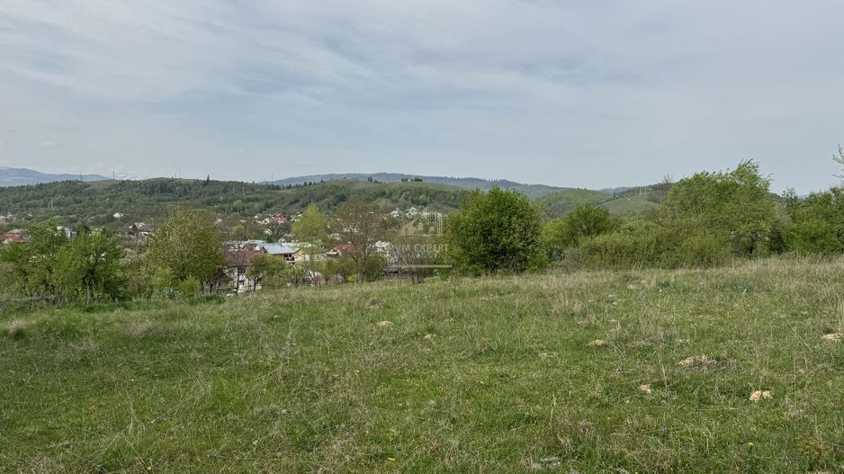 TEREN INTRAVILAN, 7472 MP, VALEA MARE PRAVAT, ARGES - Poză 15