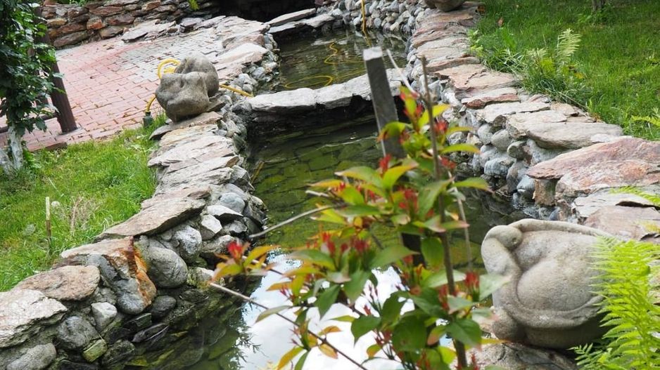 Vila Horezu Romanii de Jos - Poză 56