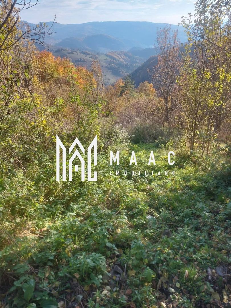 Super ofertă 35000 teren in Muntii Apuseni - Poză 11