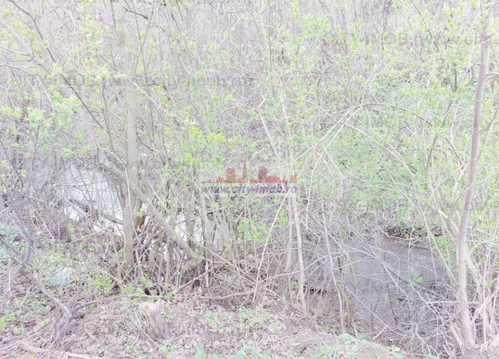Teren de vanzare Cocani, Crevedia, langa  padure Dambovita - Poză 9