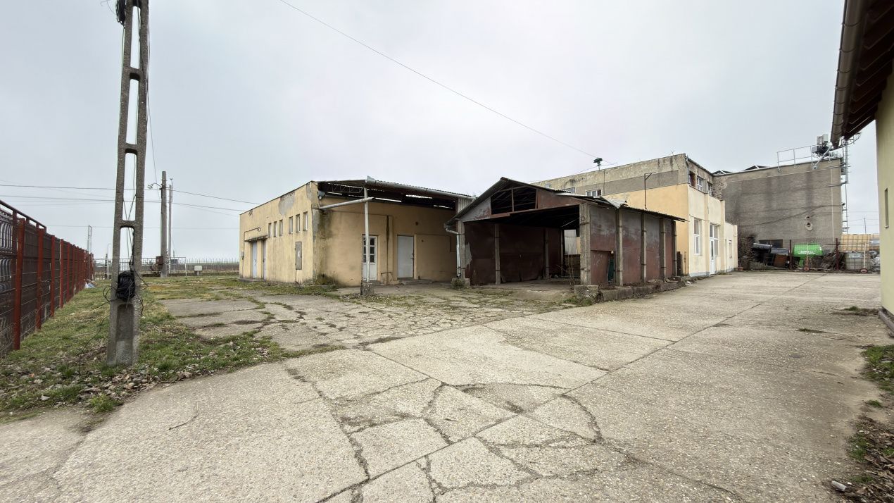 Inchiriere Clădire Producție, Depozitare 278 mp -Teren 1380 mp - Carei - Poză 10