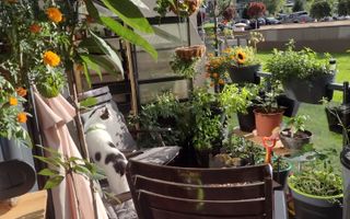 Apartament 2 camere in Sopor cu terasa de 15 metri - Poză 3