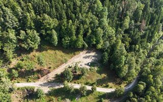 18000 mp de natura pura ,Lupeni, langa Straja - Poză 23
