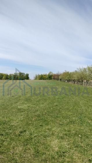 Teren extravilan 7.200 mp, Bordea - Grajduri, oportunitate investiție - Poză 11